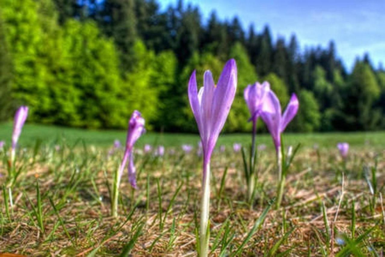 Plitvicka Jezera Smoljanac